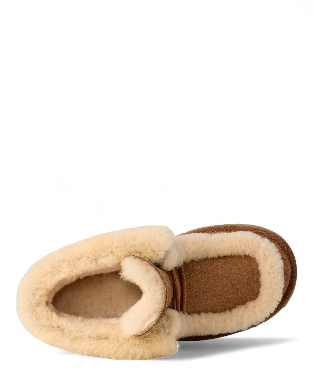 Stivali Classic Esmee Lace Up Platform-Ugg-Stivali-Vittorio Citro Boutique